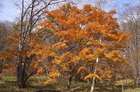 DSC02051