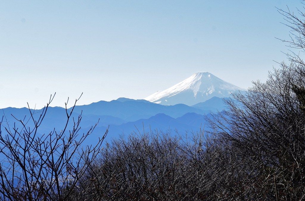 イメージ 13