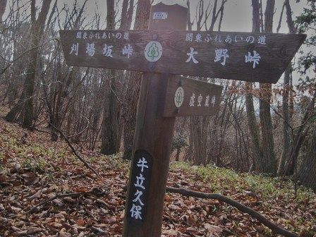 イメージ 14