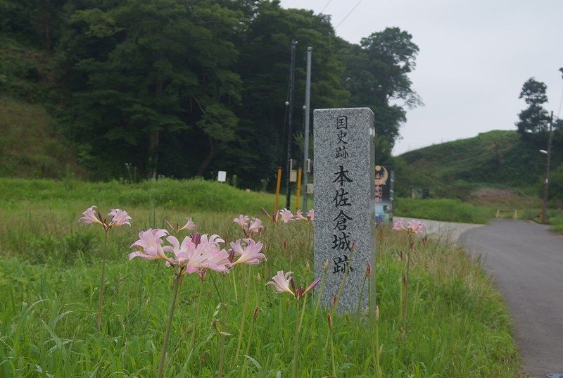 イメージ 2