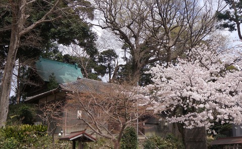 DSC06656赤山日枝神社