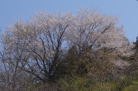 DSC07165