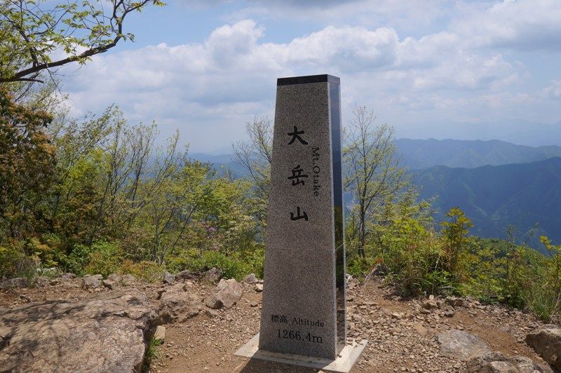 イメージ 14