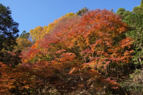 DSC09090