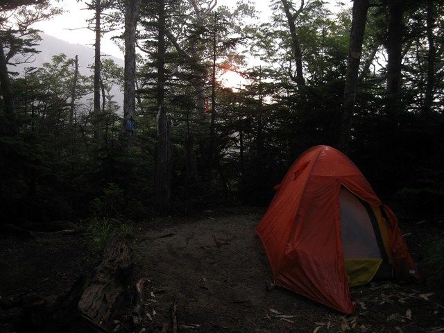 イメージ 18