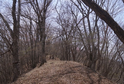 DSC01220