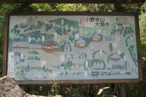 DSC07511