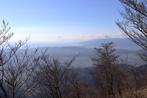 IMG_8890 - コピー