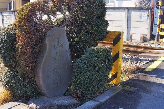 イメージ 6