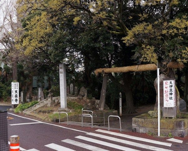 イメージ 6