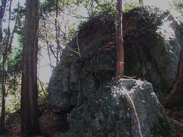 イメージ 11
