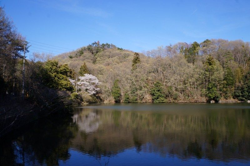 イメージ 13
