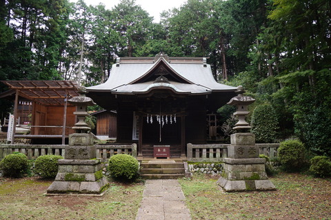 DSC08118