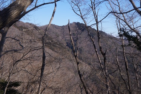 DSC09587