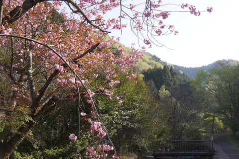 DSC00905