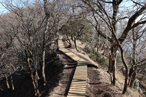 IMG_8903 - コピー