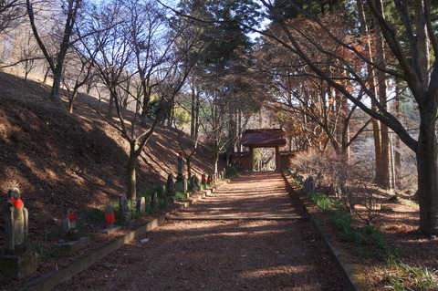 DSC03403