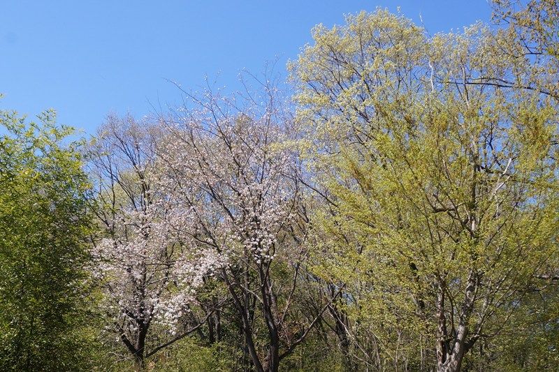 イメージ 9