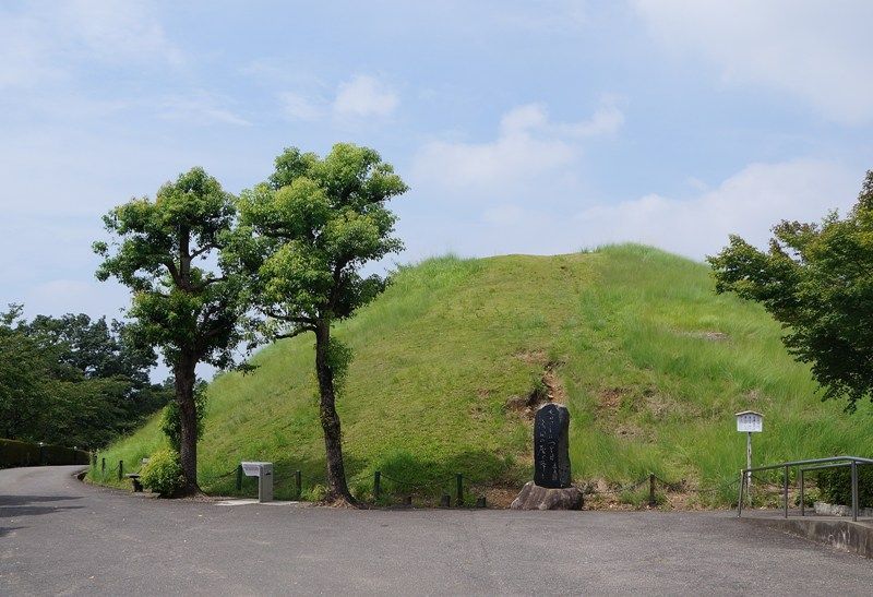 イメージ 5