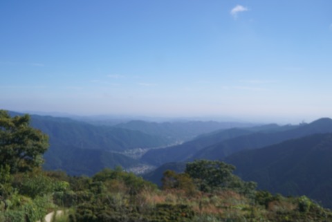 DSC07879