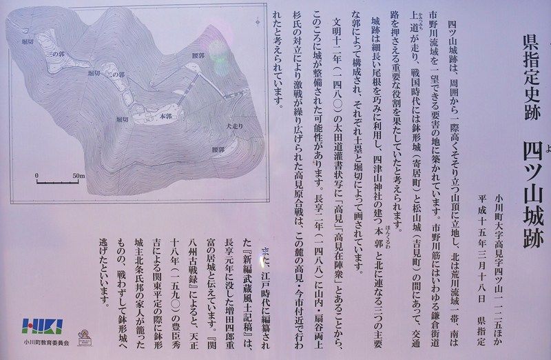 イメージ 10