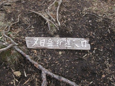 イメージ 15