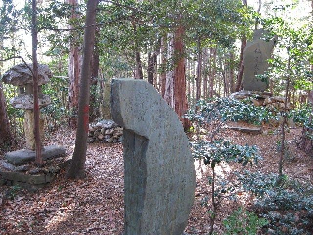 イメージ 10