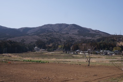 DSC00220