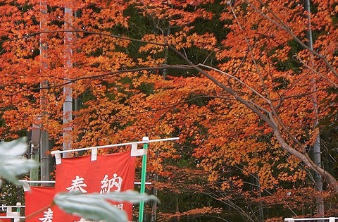 DSC05957