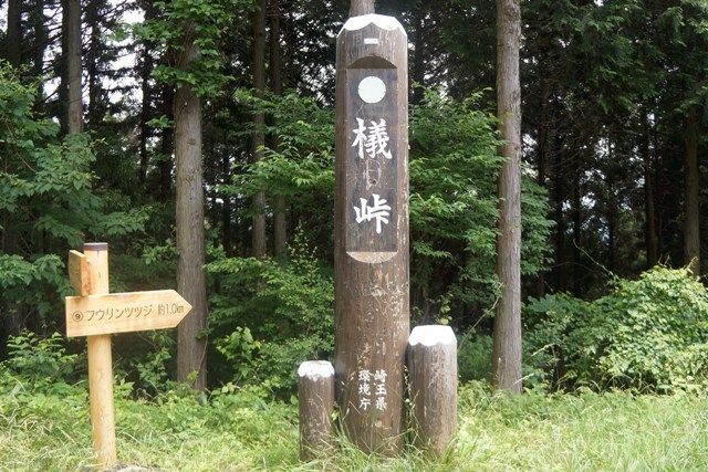 イメージ 10