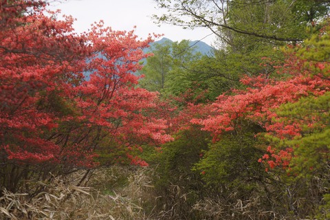 DSC01649