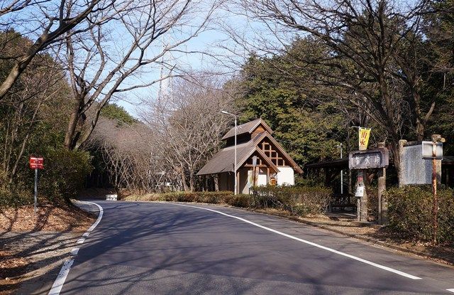 イメージ 7