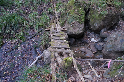 DSC09620