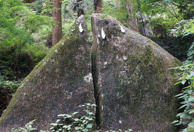 イメージ 1