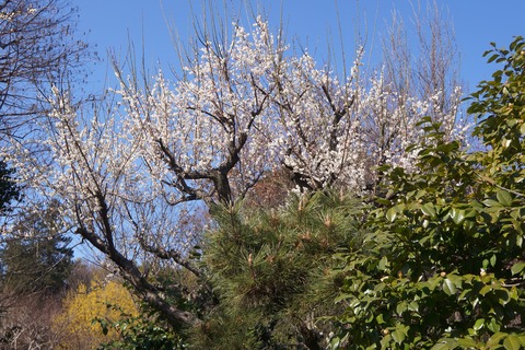 DSC09966