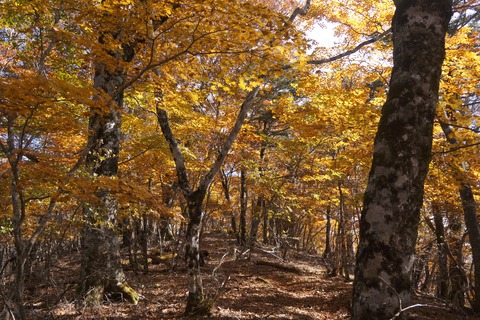 DSC02770
