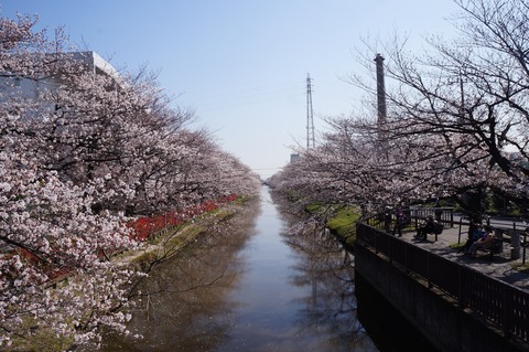 DSC00821