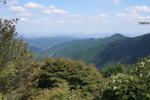 DSC07909
