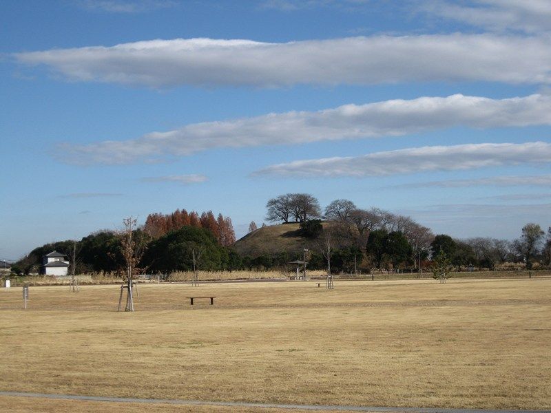 イメージ 12