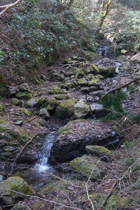 DSC00036