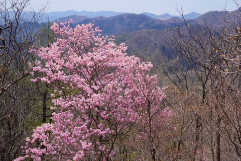 DSC01409