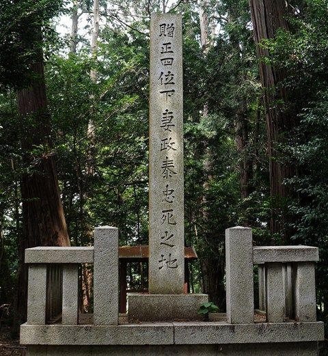 イメージ 10