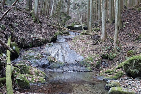 IMG_9411