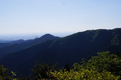 DSC01446