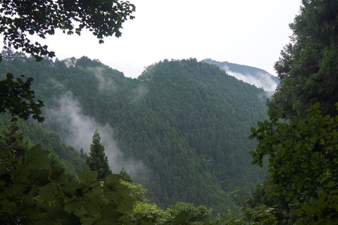 DSC02121