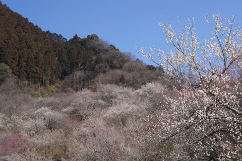 DSC00045