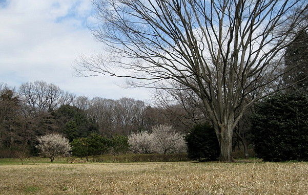 イメージ 5