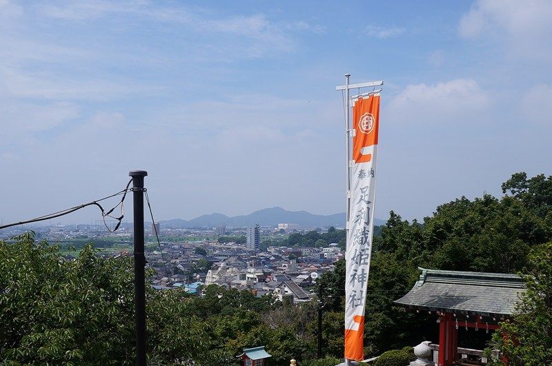 イメージ 8