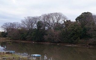 イメージ 5