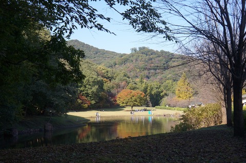 DSC08166